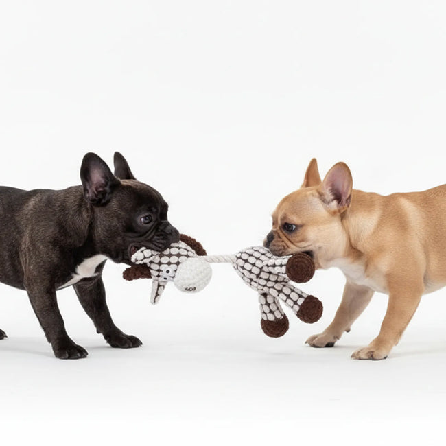 Cute Animal Plush Chew Dog Toys with Squeaker for  puppy dog toys Main Image