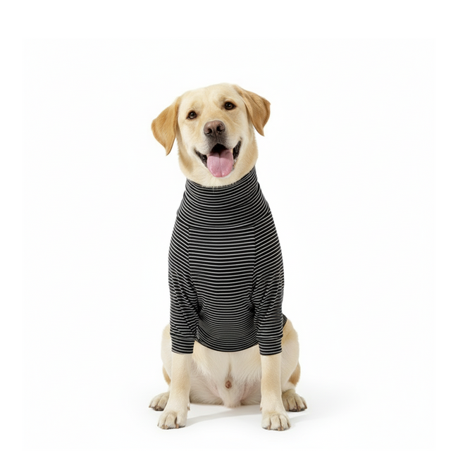 Striped Pet Turtleneck Outfit – Soft Everyday Wear for Dogs & Cats, Black/White Main Image