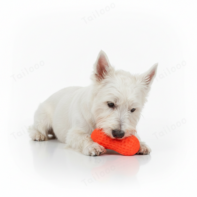 TPR Peanut Dog Toy Ball with Squeaker, Molar Chew Toy（Orange） Main Image