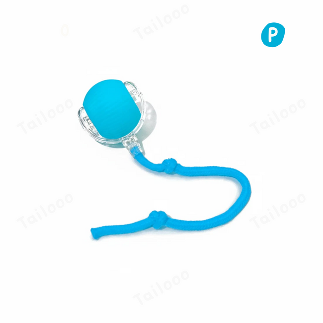 Interactive Electric Rolling Cat Ball – Blue Hover Image