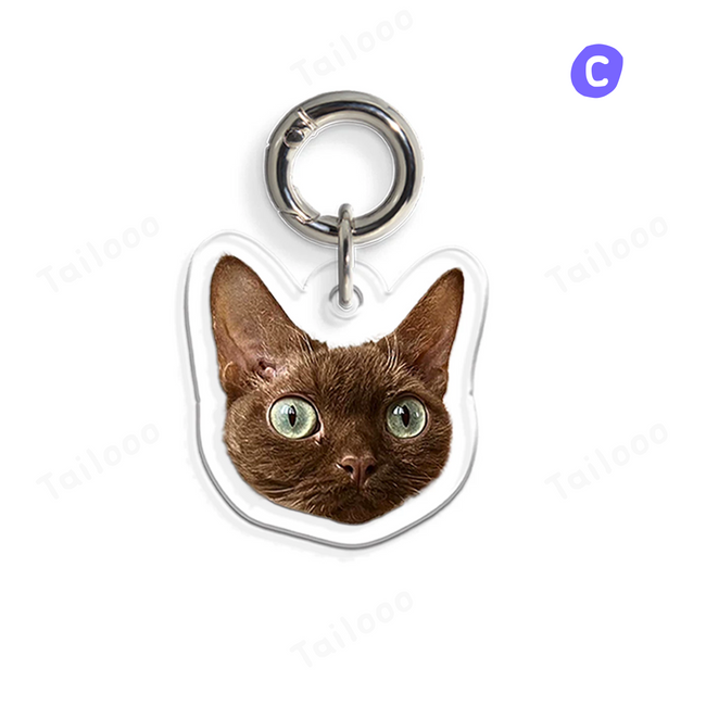 Custom Acrylic Pet ID Tag Pet Tag Hover Image
