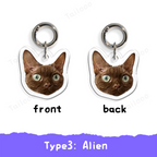 Custom Acrylic Pet ID Tag Pet Tag