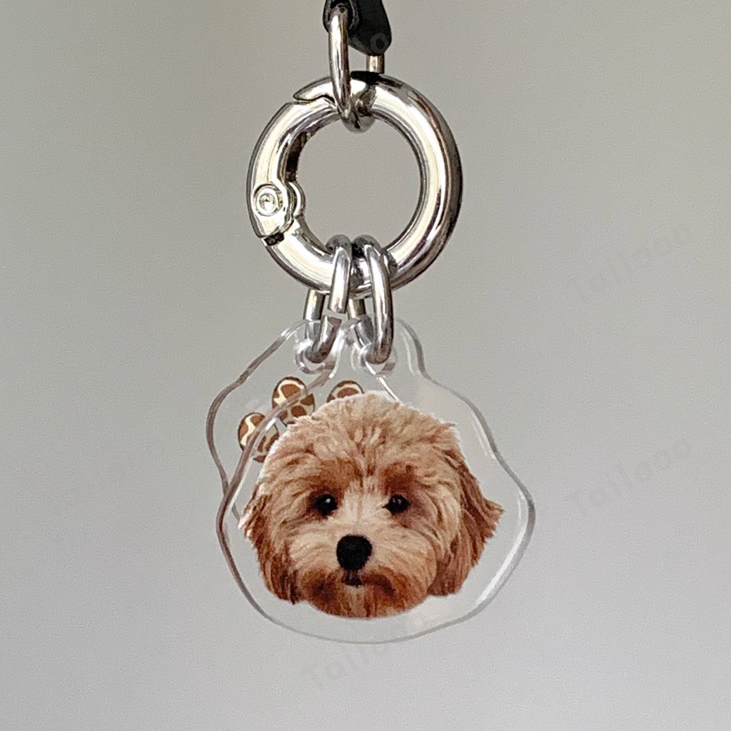 Custom Acrylic Pet ID Tag Pet Tag