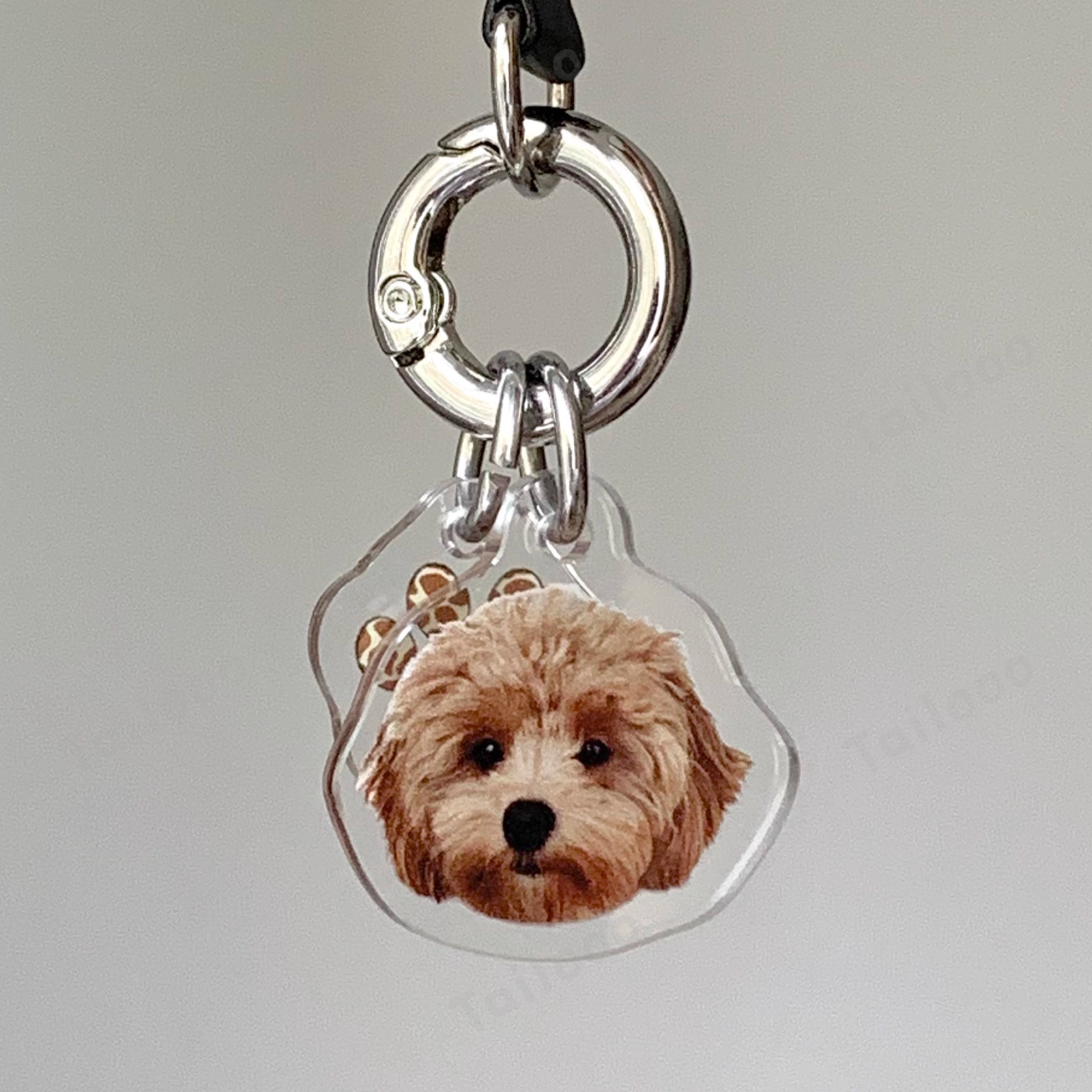 Custom Acrylic Pet ID Tag Pet Tag