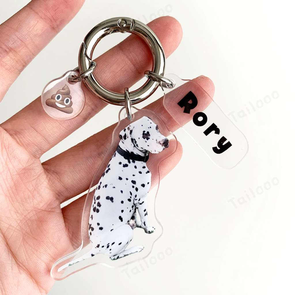 Custom Acrylic Pet ID Tag Pet Tag