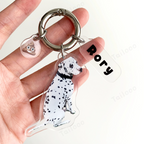 Custom Acrylic Pet ID Tag Pet Tag