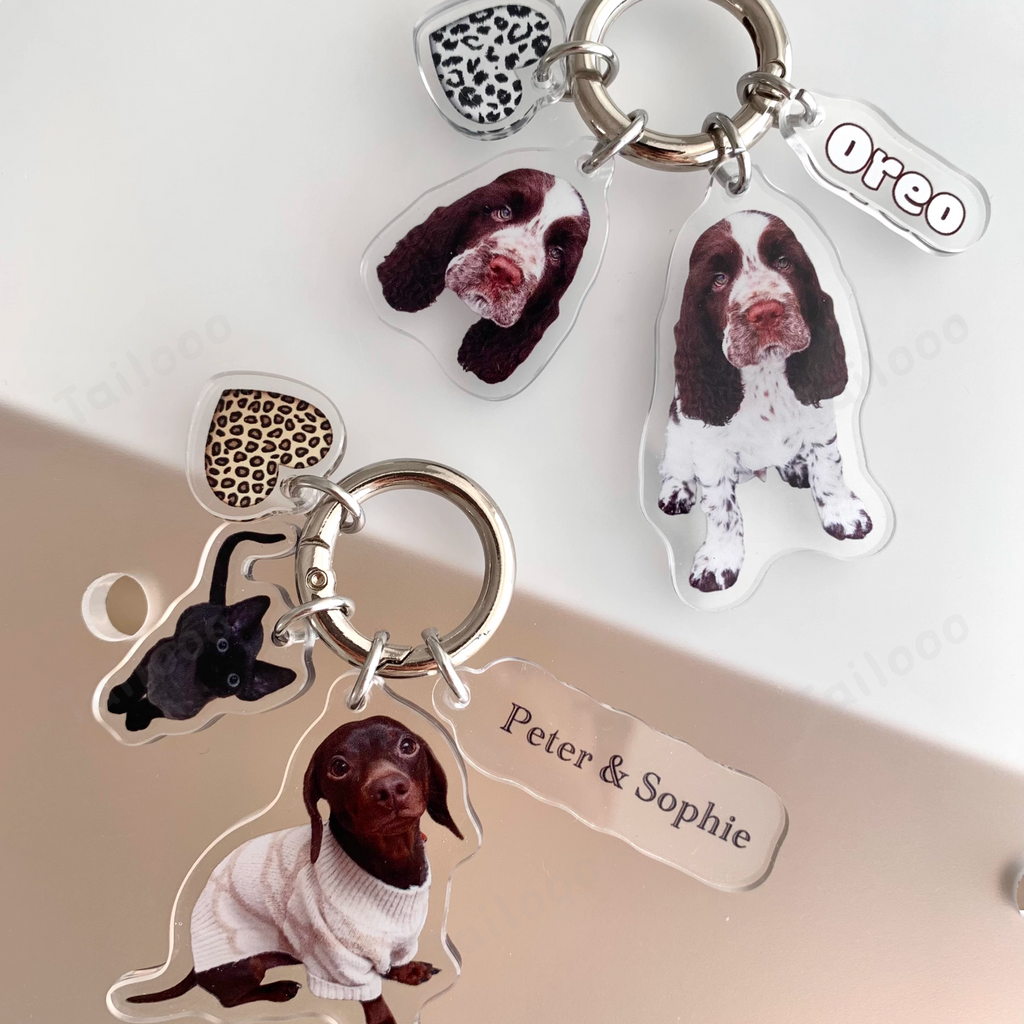 Custom Acrylic Pet ID Tag Pet Tag