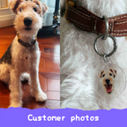 Custom Acrylic Pet ID Tag Pet Tag
