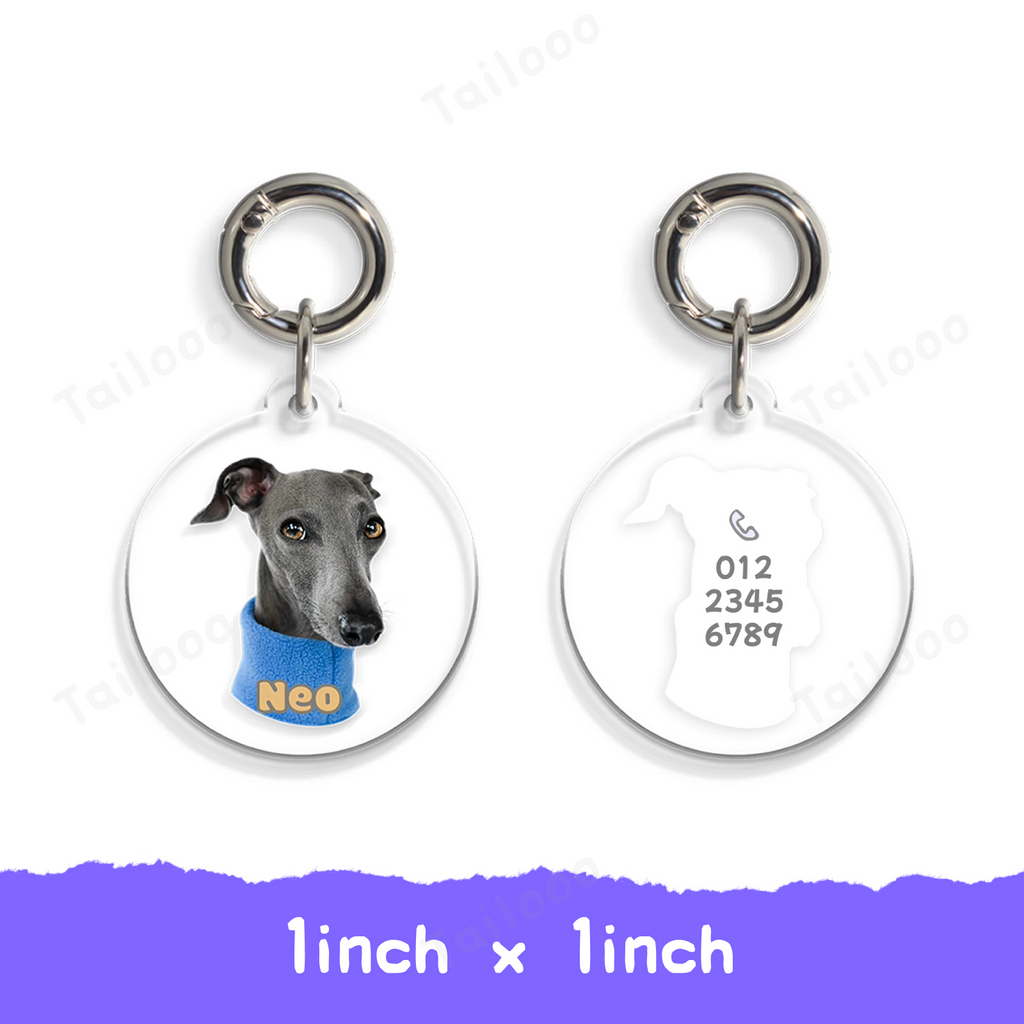 Custom Acrylic Pet ID Tag Pet Tag