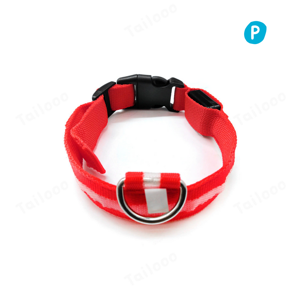 LED Glowing Dog Collar – USB Rechargeable Light-Up Pet Collar (Red)