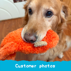 Orange Monkey Plush Dog Toy with Squeaker and Crinkle