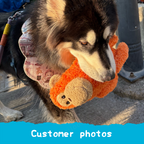 Orange Monkey Plush Dog Toy with Squeaker and Crinkle