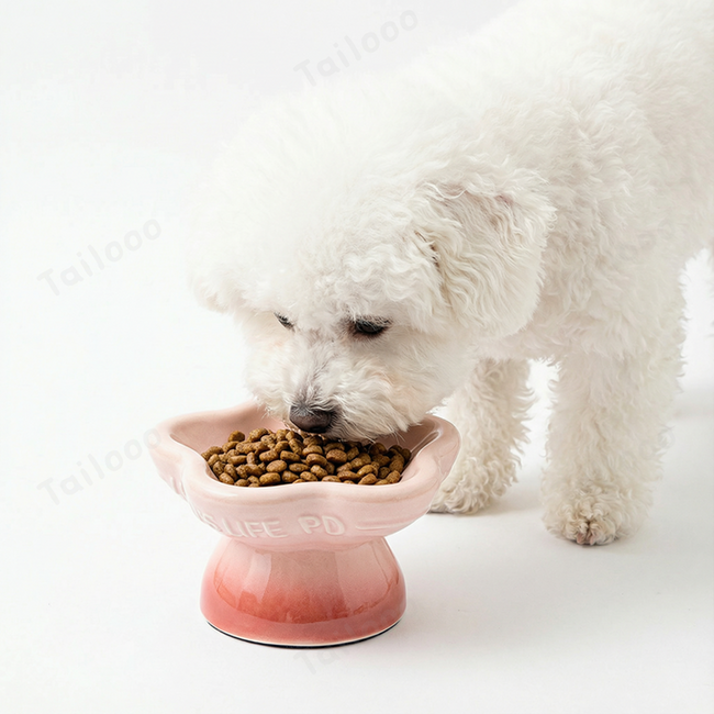 Elevated Raised Cat Bowls - Gradient Pink Ceramic Dog Bowls Main Image