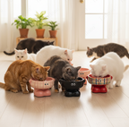 Ceramic Cartoon Elevated Pet Bowl – Pink