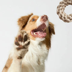 Eco-Friendly Dog Chew Toy Ring – Durable Cotton Rope Toy for Dogs, Teeth Cleaning, Interactive Fetch & Tug, Natural Handmade Pet Toy