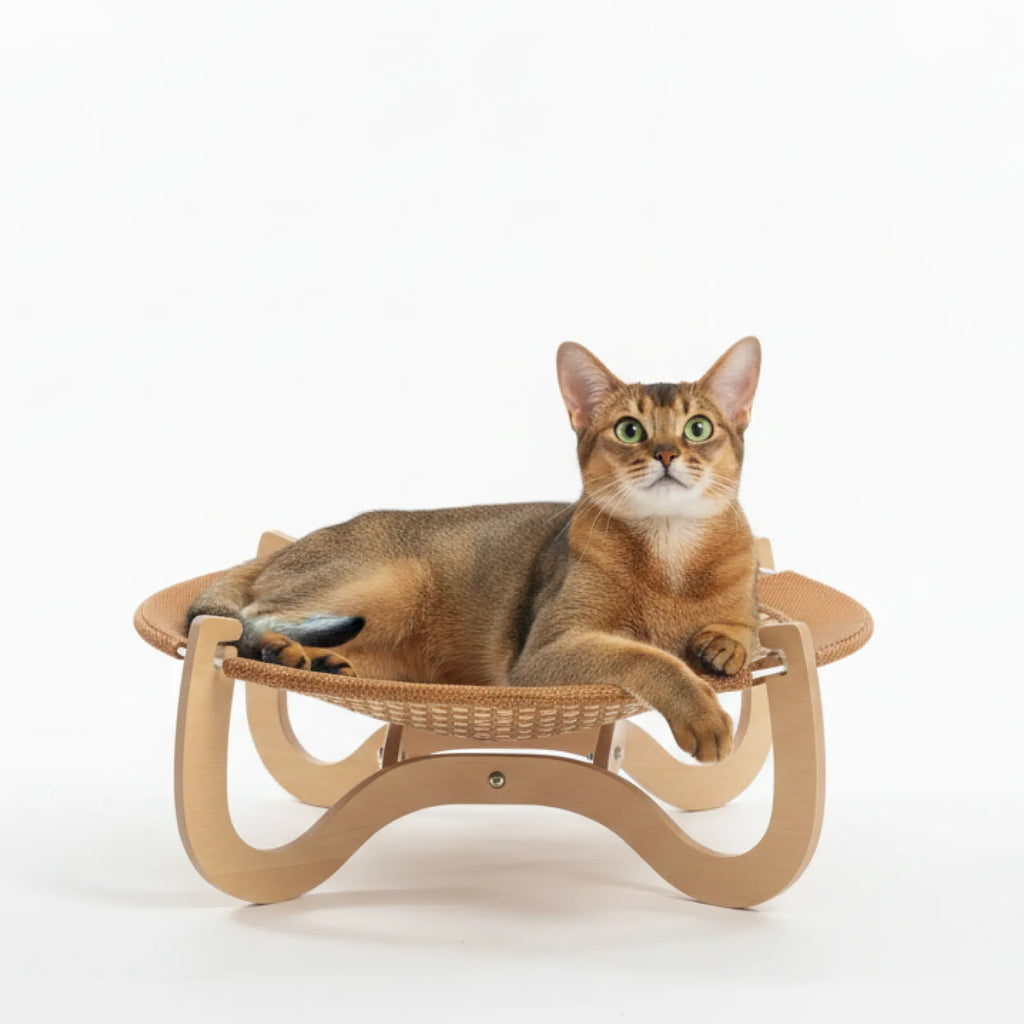 Elevated Woven Rattan Pet Bed with Wooden Stand
