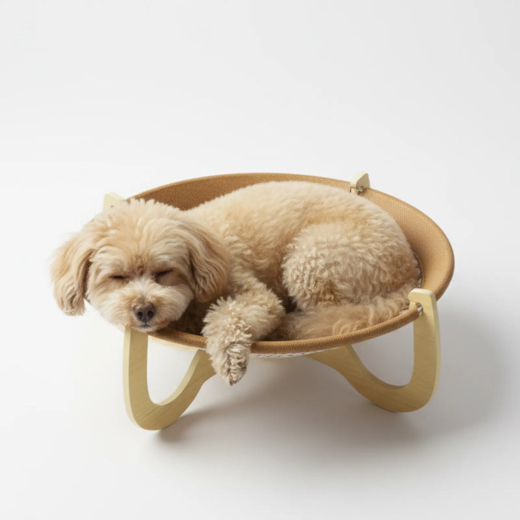 Elevated Woven Rattan Pet Bed with Wooden Stand