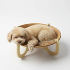 Elevated Woven Rattan Pet Bed with Wooden Stand
