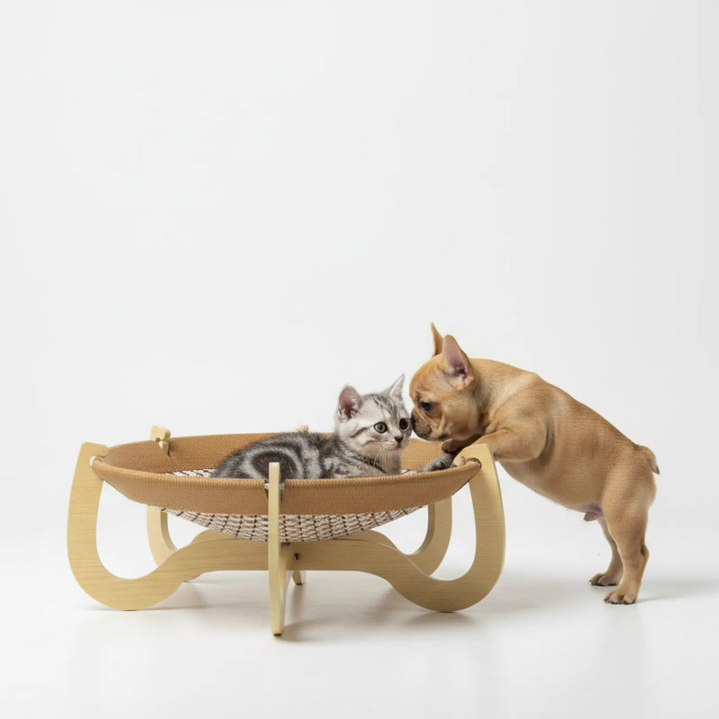 Elevated Woven Rattan Pet Bed with Wooden Stand
