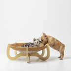 Elevated Woven Rattan Pet Bed with Wooden Stand
