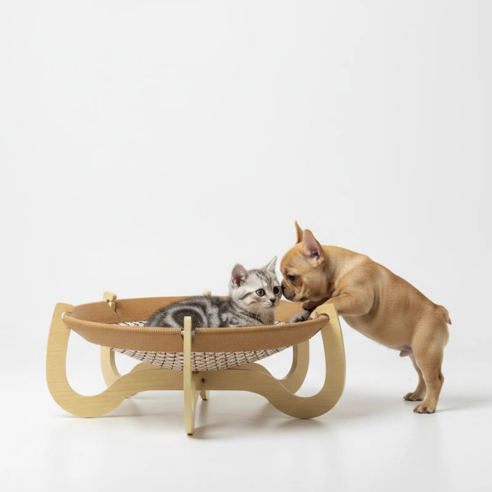 Elevated Woven Rattan Pet Bed with Wooden Stand