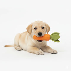 Durable Rubber Carrot Dog Toy – Squeaky & Crinkle Toy for Chewers, Interactive Pet Play Toy