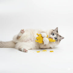 Natural Loofah Cat Toy - Chewable Eco-Friendly Scratch-Resistant | Fun Pet Interactive Plaything
