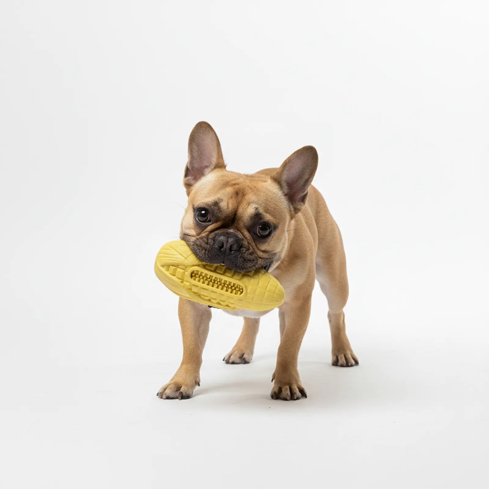 Natural Rubber Corn-Shaped Dog Chew Toy – Durable Interactive Play for Dogs (Yellow/Red/Green)