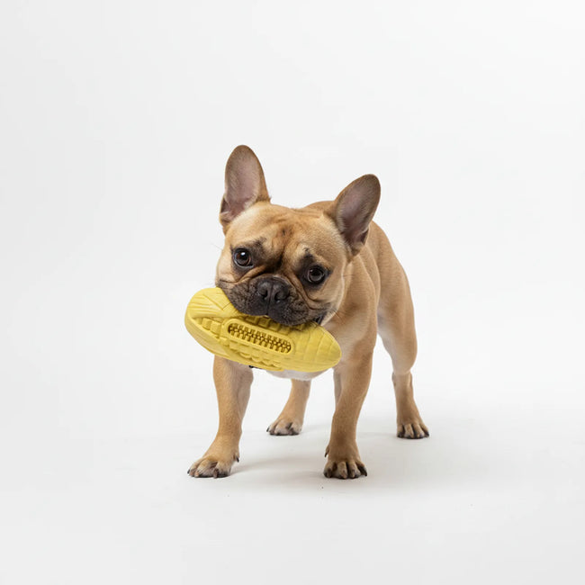 Natural Rubber Corn-Shaped Dog Chew Toy Main Image