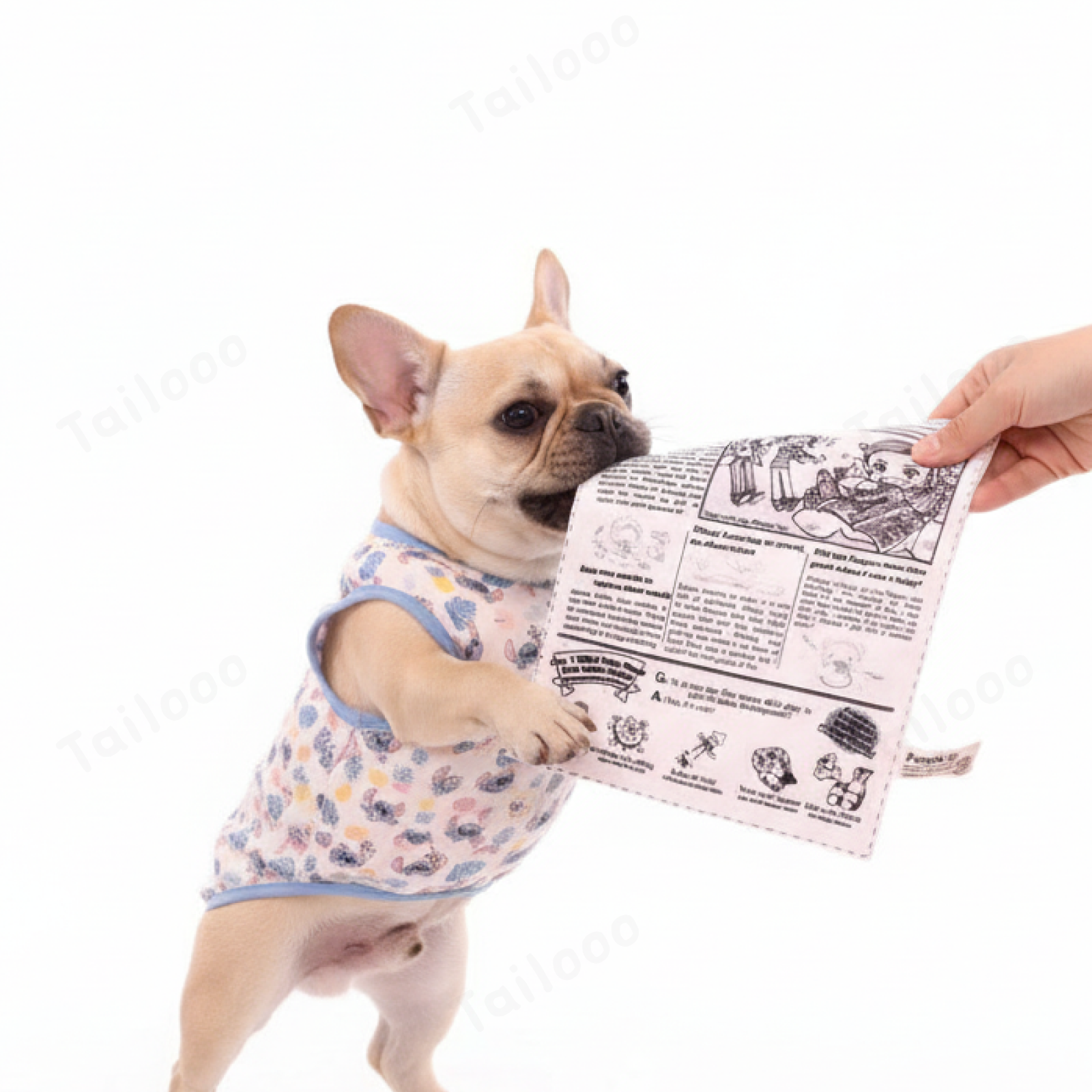 Crinkly paper dog toys with Newspaper card designs