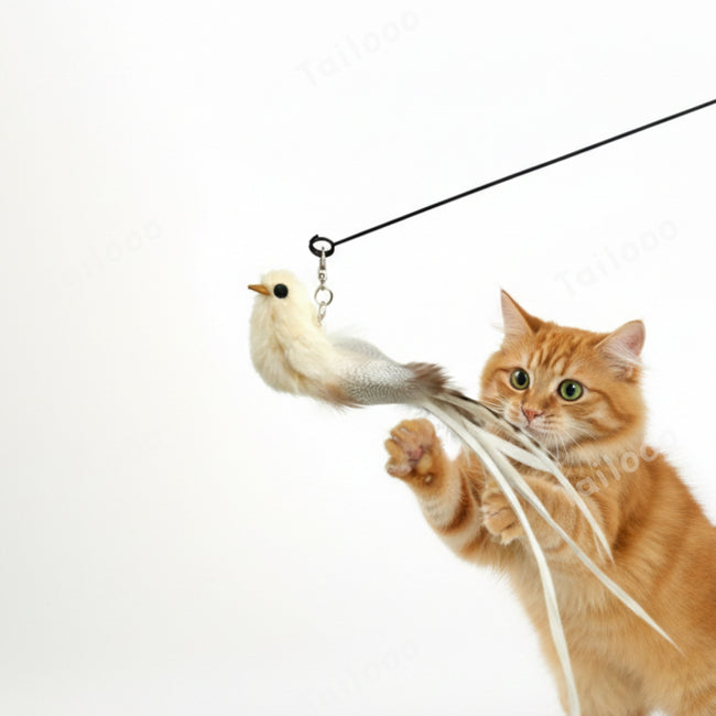 Simulation Bird Wire Long Rod Cat Teaser-- White Sparrow Bird Main Image