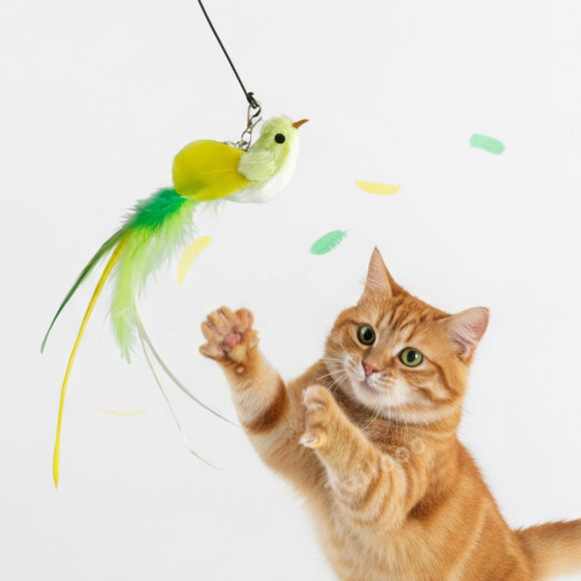 Simulation Bird Wire Long Rod Cat Teaser – Green Feather Bird Main Image