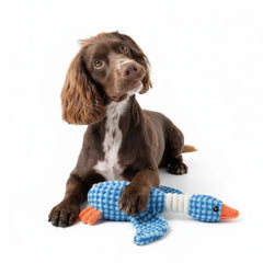 Goose Dog Toy with Squeaker – Durable Plush Chew & Tug Toy for Puppies, Small & Medium Dogs