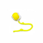 Fun and interactive electric rolling balls for cats