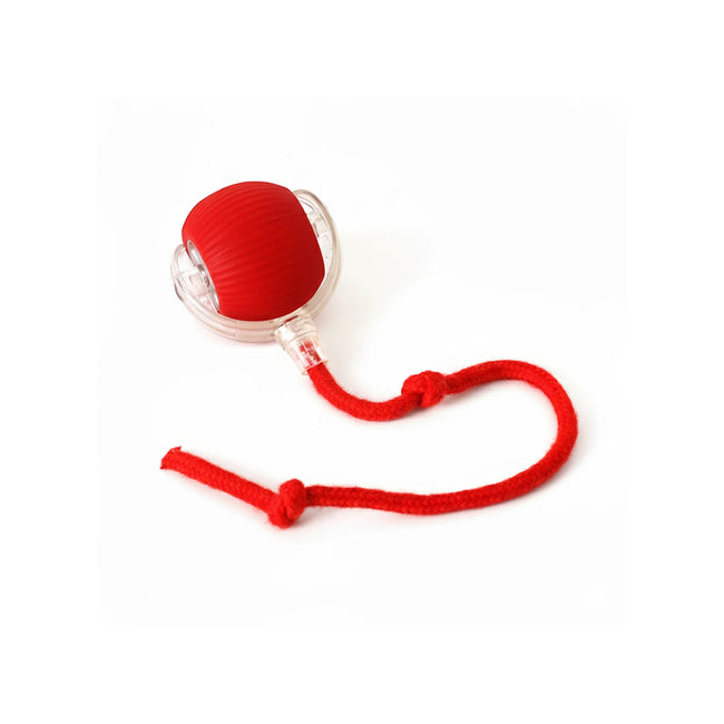 Fun and interactive electric rolling balls for cats Hover Image