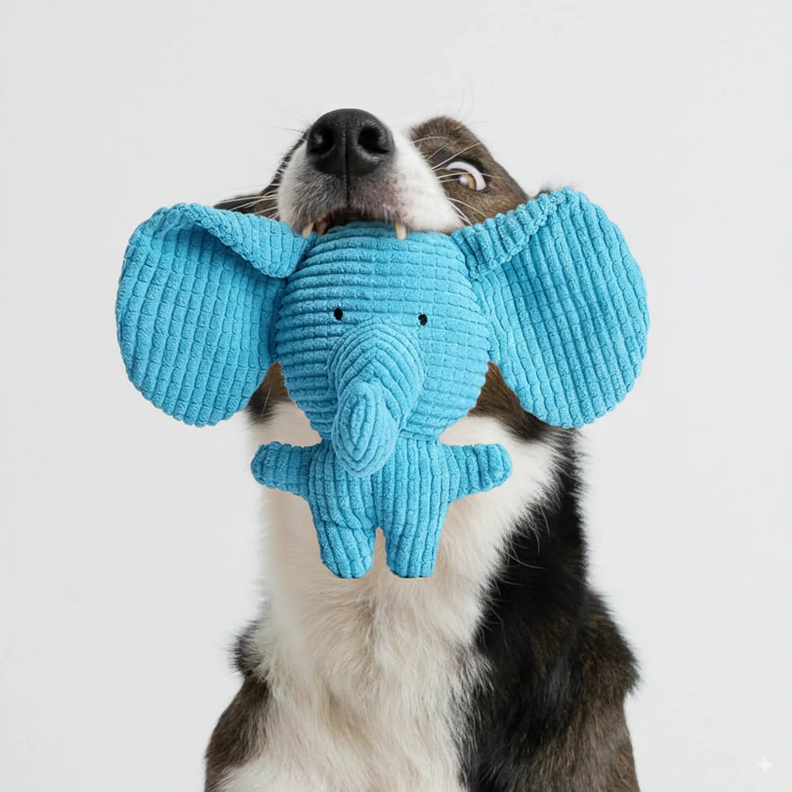 Corduroy Elephant Dog Toy with Squeaker – Durable Plush Chew Toy for Puppies, Small & Medium Dogs