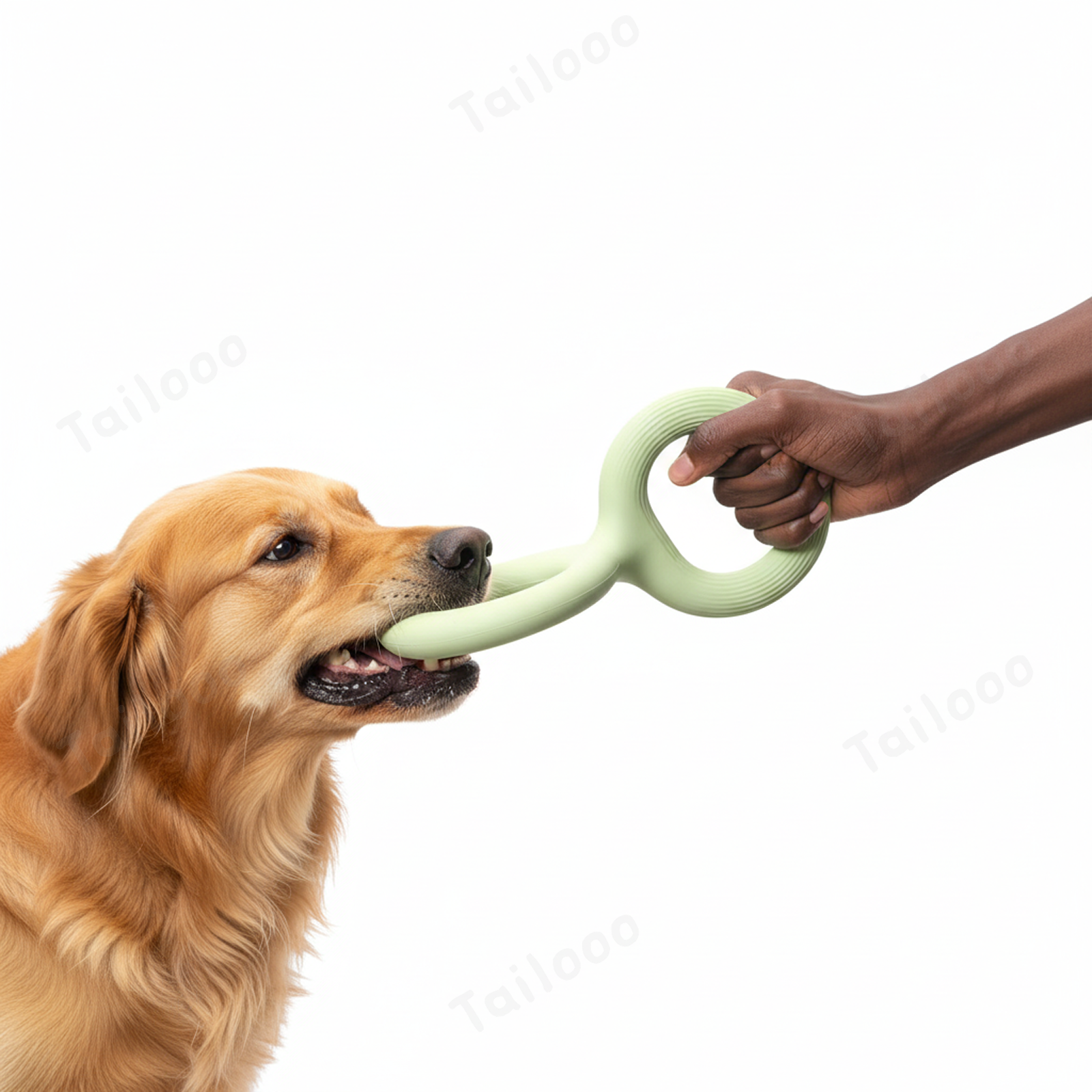Natural Rubber Pull Ring Durable Chew Dog Toy
