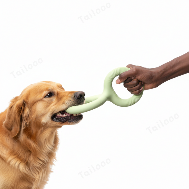 Natural Rubber Pull Ring Durable Chew Dog Toy Main Image