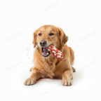 Corn — Handmade  Cotton Rope Eco Chew Dog Toys
