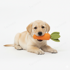 Durable Rubber Carrot Chew Dog Toy