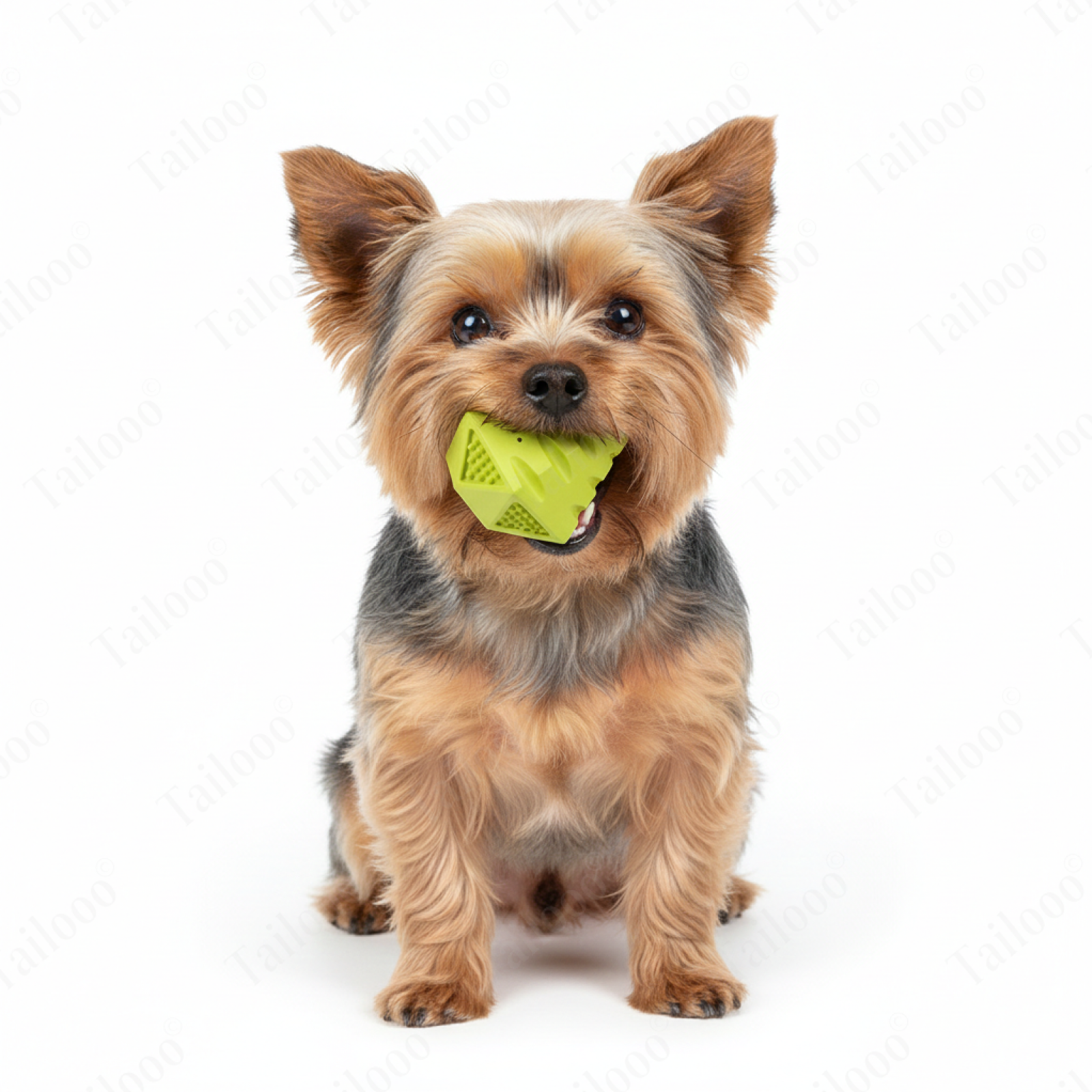 Natural Rubber Tear-Resistant Interactive Green Diamond Dog Toy