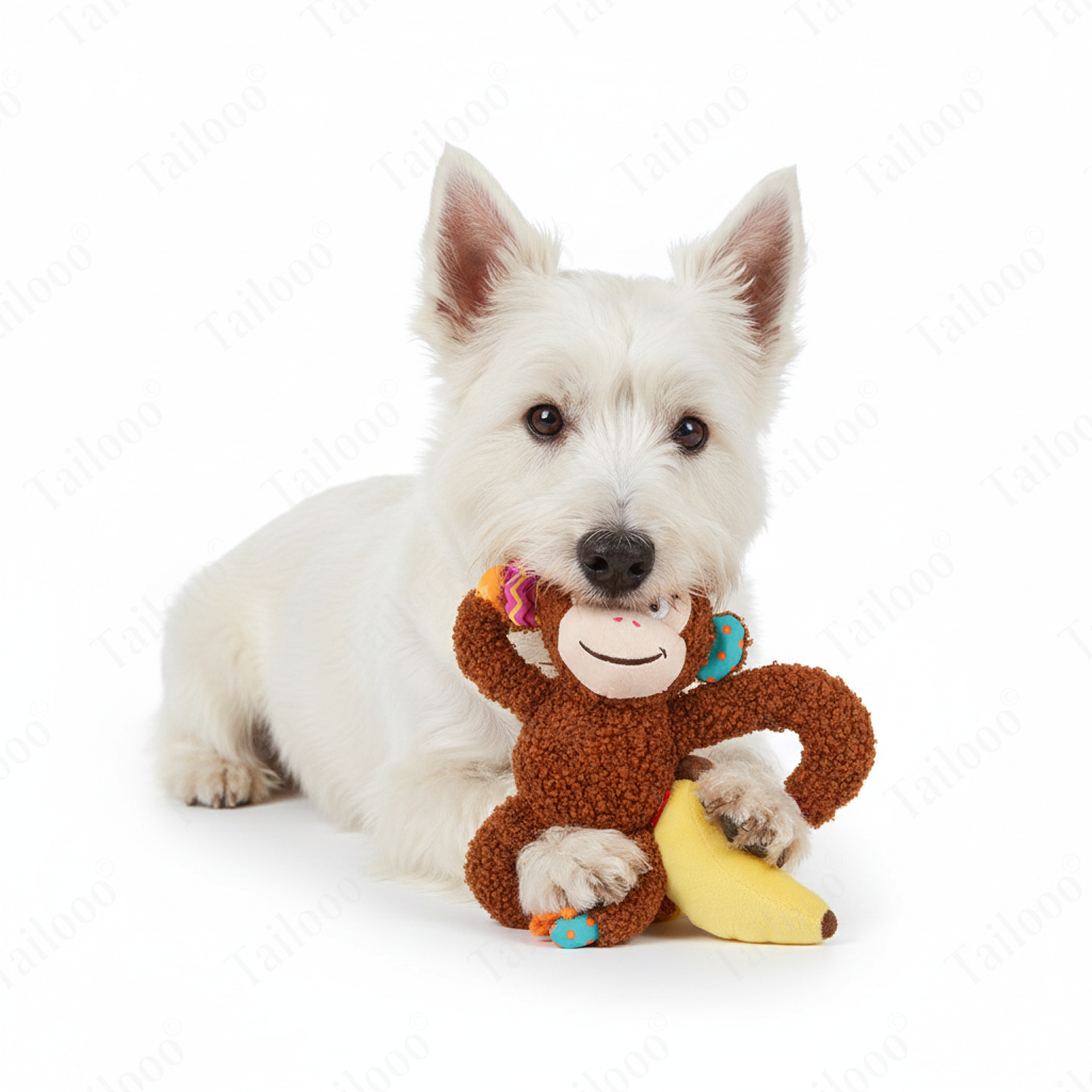 Monkey Design—Plush Dog Toy with Squeaker & Crinkle