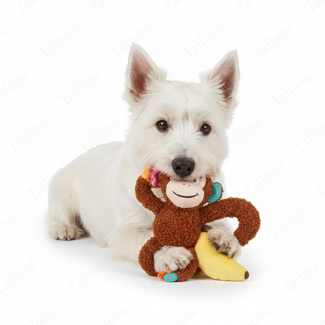 Monkey Design—Plush Dog Toy with Squeaker & Crinkle Main Image