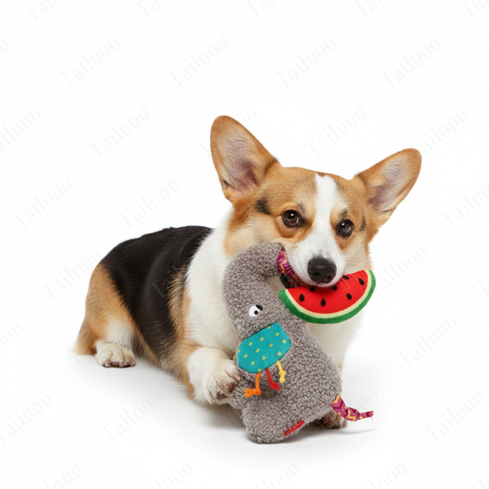 Elephant Design——Plush Dog Toy with Squeaker & Crinkle