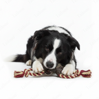 Pull Ring Tree Branch — Durable Natural Rubber Dog Chew Toy with Rope