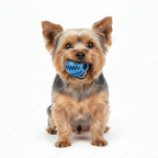 Blue Interactive TPR Dog Treat Ball Toy, Slow Feeder Chew dog toy