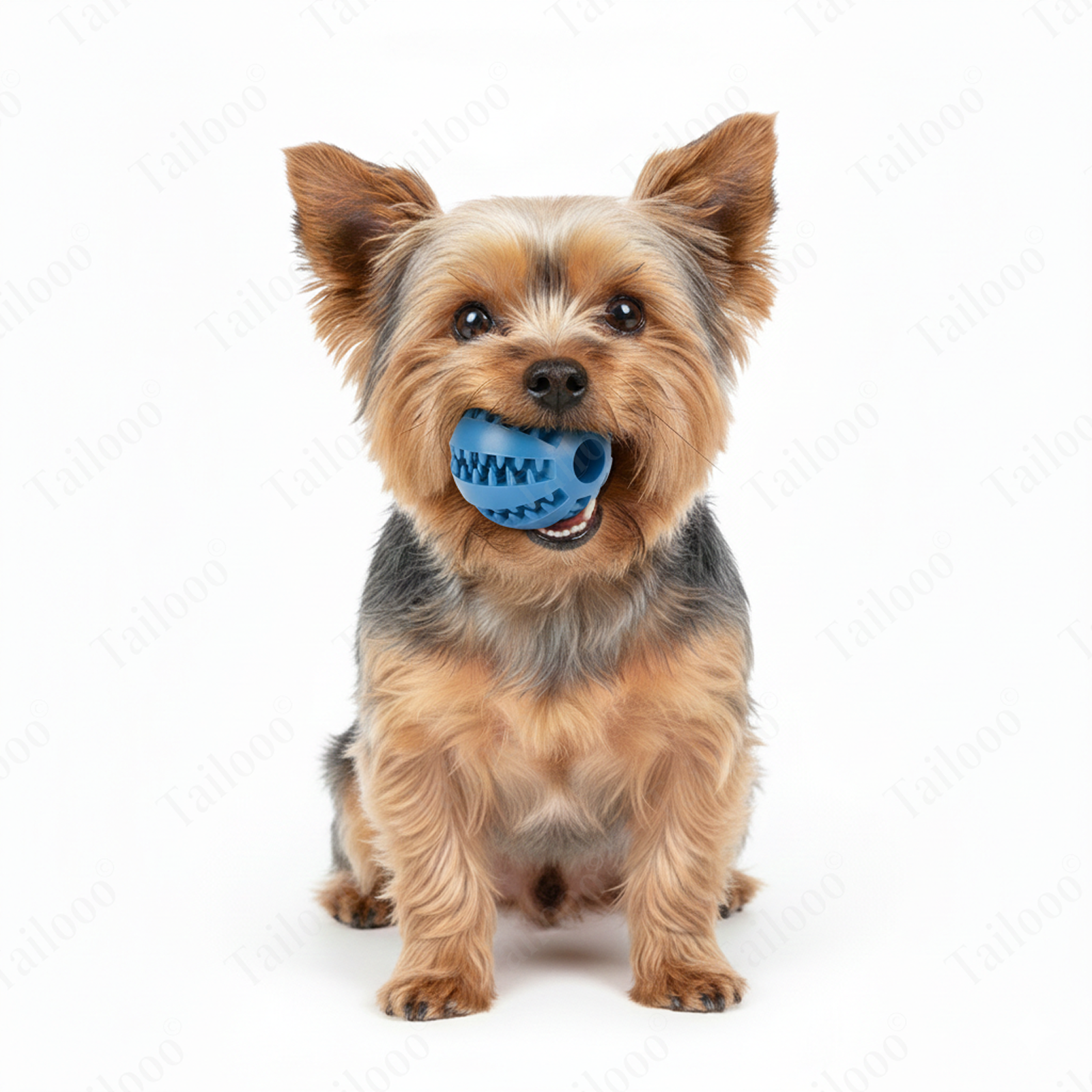 Blue Interactive TPR Dog Treat Ball Toy, Slow Feeder Chew dog toy