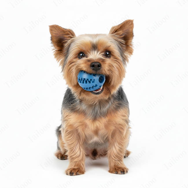 Blue Interactive TPR Dog Treat Ball Toy, Slow Feeder Chew dog toy Main Image