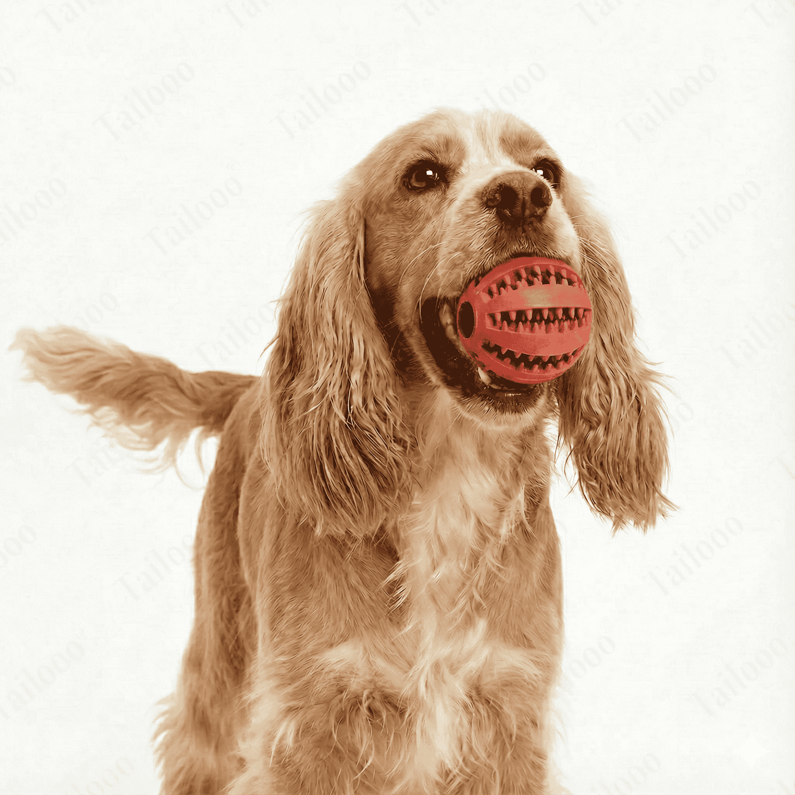 Red Interactive TPR Dog Treat Ball Toy, Slow Feeder Chew dog toy