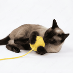 Soft Knit Ball Cat Toy – Interactive Chasing Teaser Ball (Yellow)